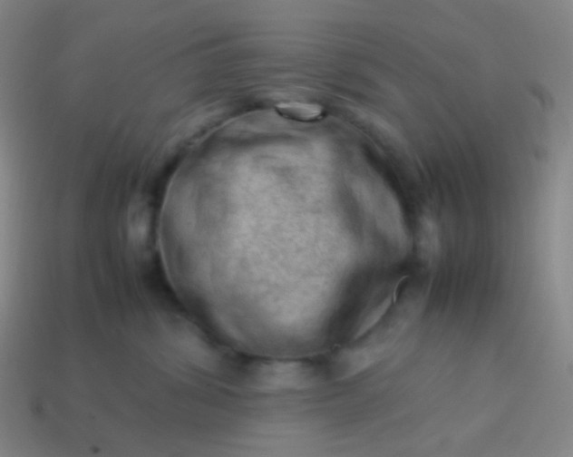 X0000114060428200910191505