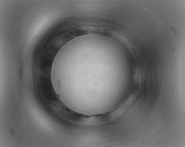 X0000114060430200910191505