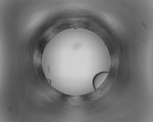 X0000114060431200910191505