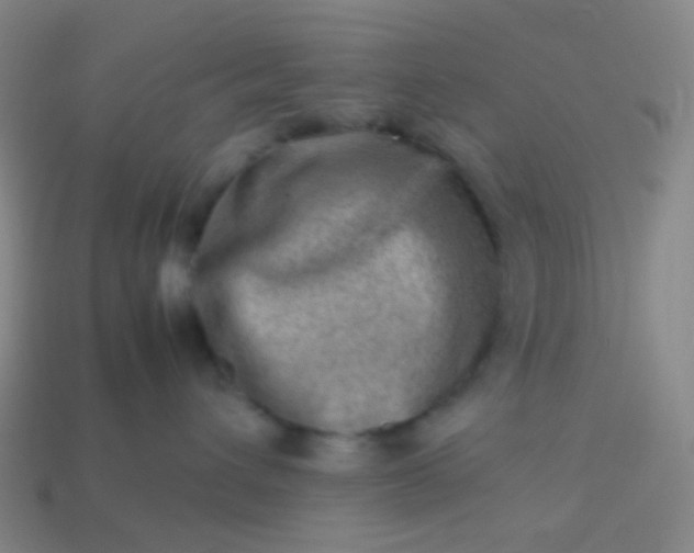 X0000114060432200910191505