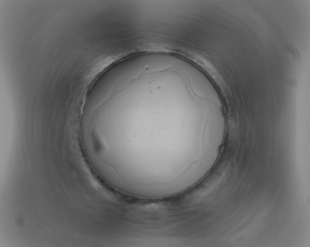 X0000114060433200910191504