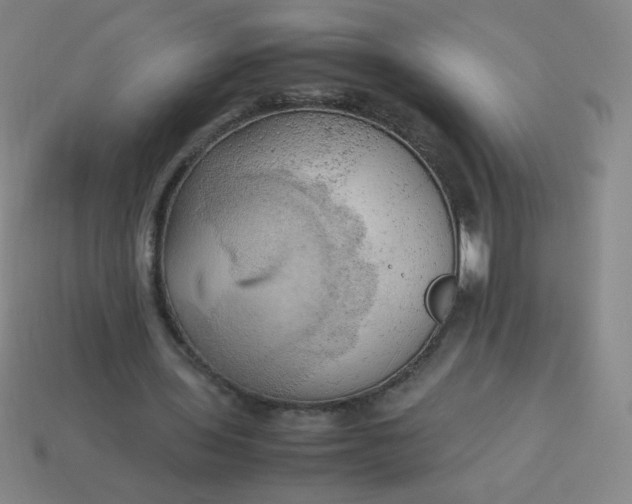 X0000114060435200910191504