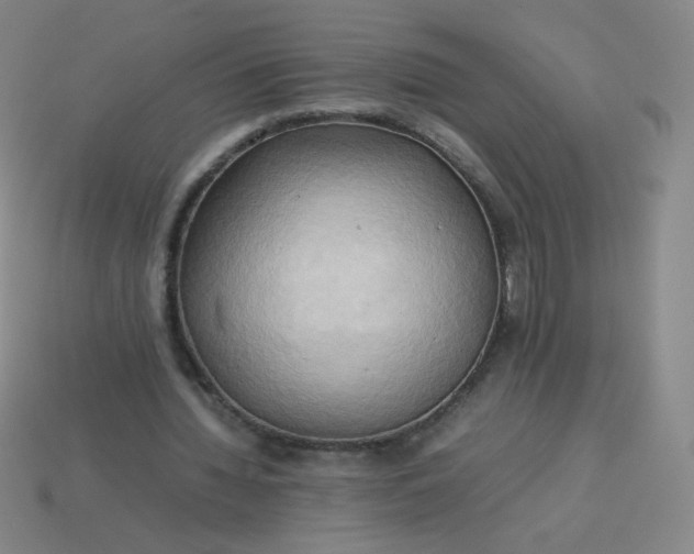 X0000114060436200910191504