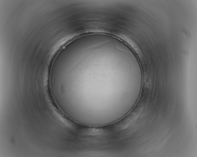 X0000114060437200910191504