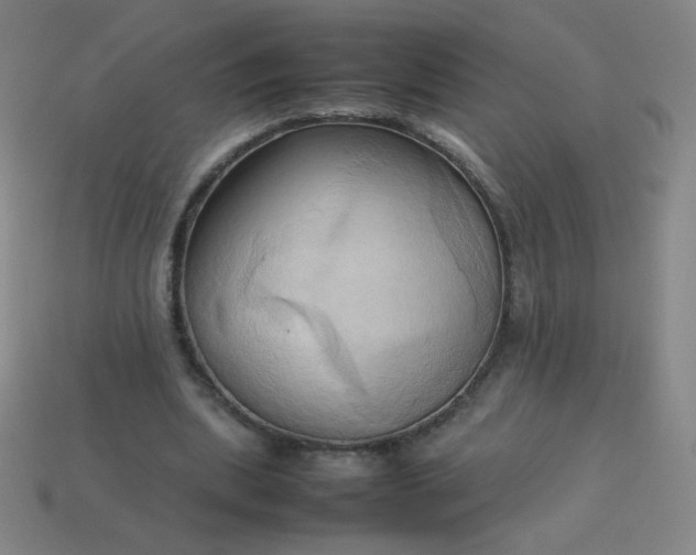 X0000114060439200910191504