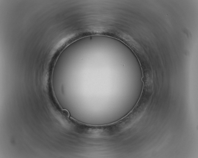 X0000114060440200910191504