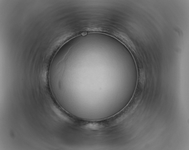 X0000114060441200910191504