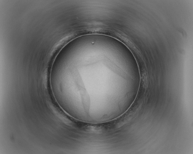 X0000114060442200910191504