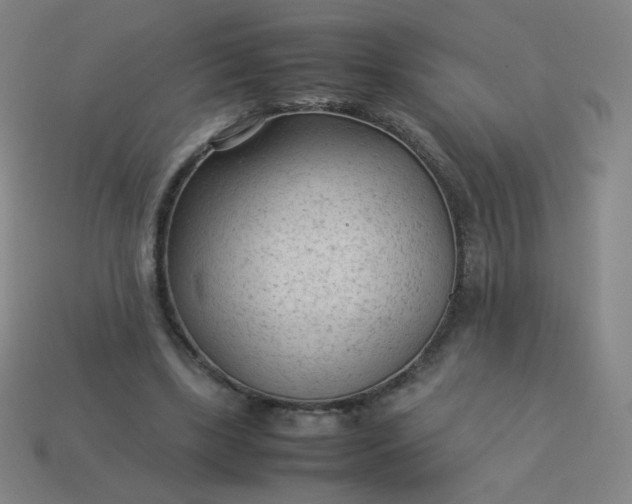 X0000114060443200910191504