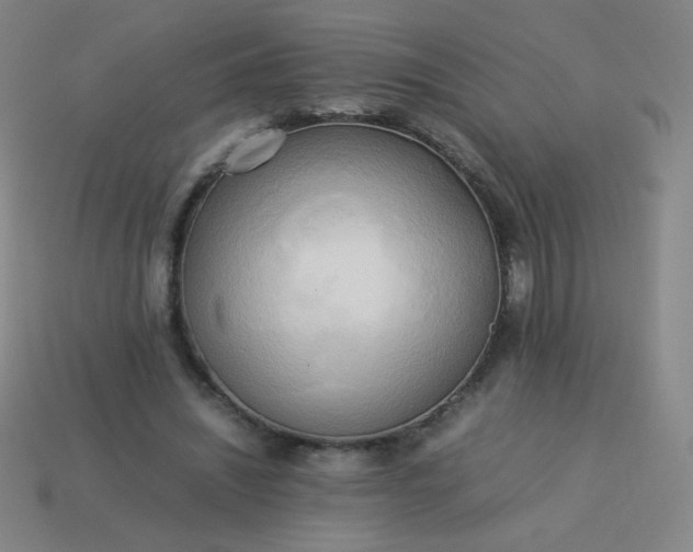 X0000114060444200910191504