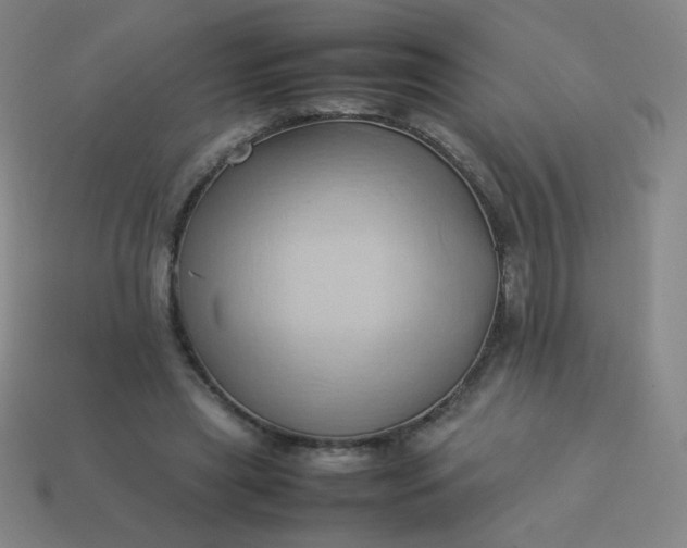 X0000114060445200910191504