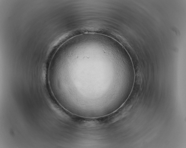 X0000114060446200910191505