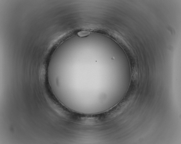 X0000114060448200910191505