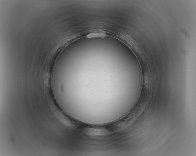 X0000114060449200910191505