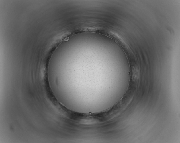 X0000114060451200910191505