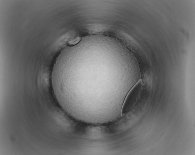 X0000114060452200910191505