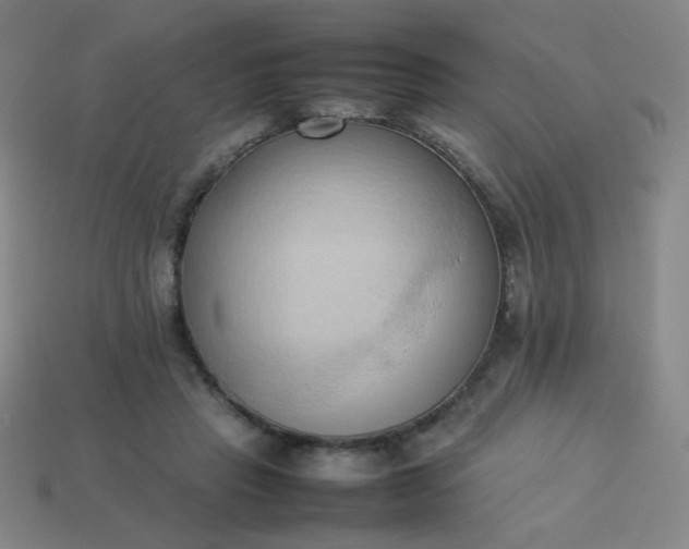 X0000114060453200910191505