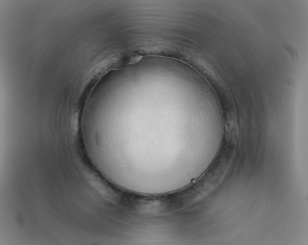 X0000114060454200910191505