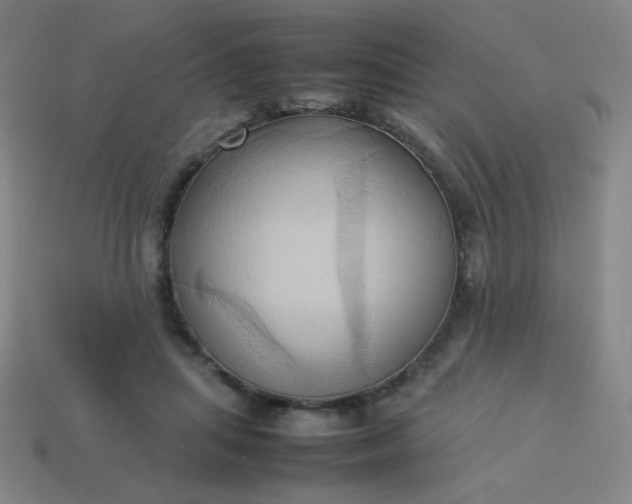 X0000114060455200910191505