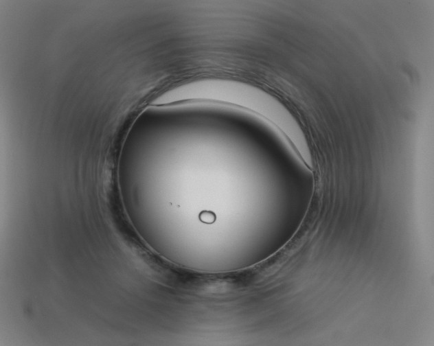 X0000114060456200910191505