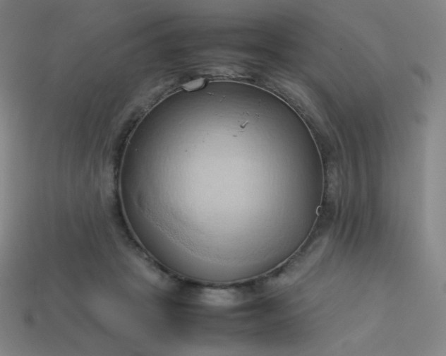 X0000114060457200910191505