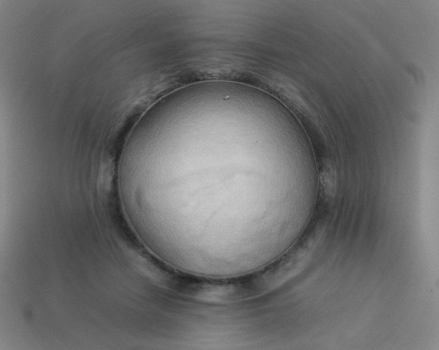 X0000114060458200910191505