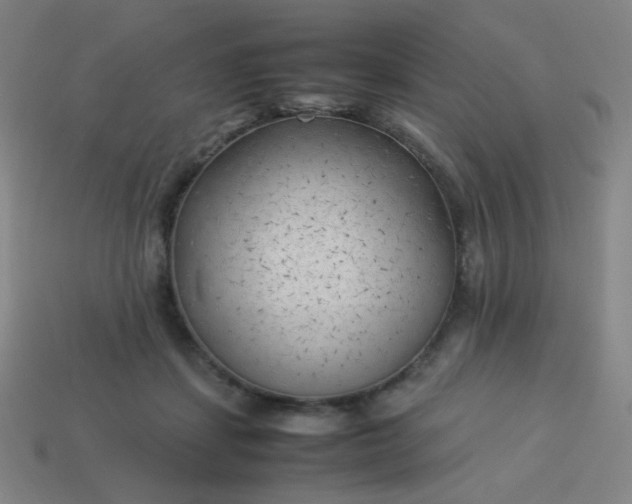 X0000114060459200910191505