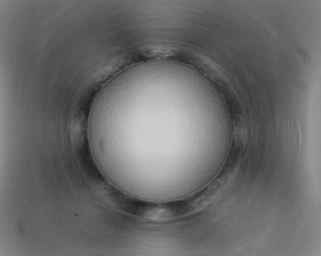 X0000114060460200910191505