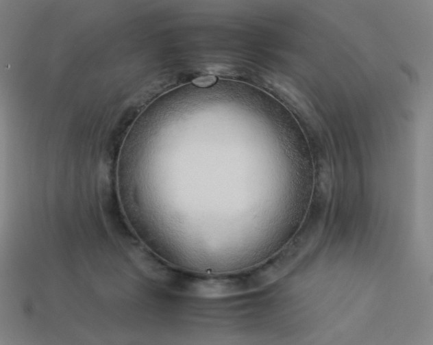 X0000114060461200910191505