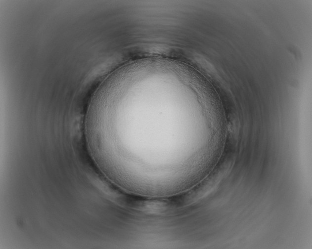 X0000114060462200910191505