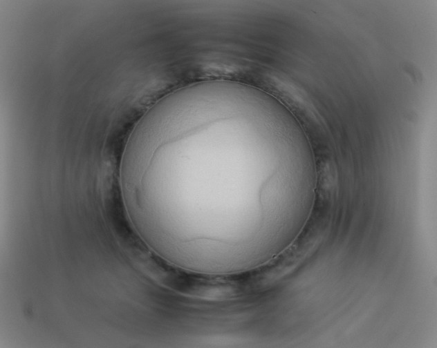 X0000114060463200910191505