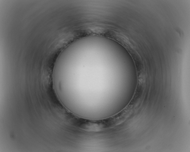 X0000114060464200910191505