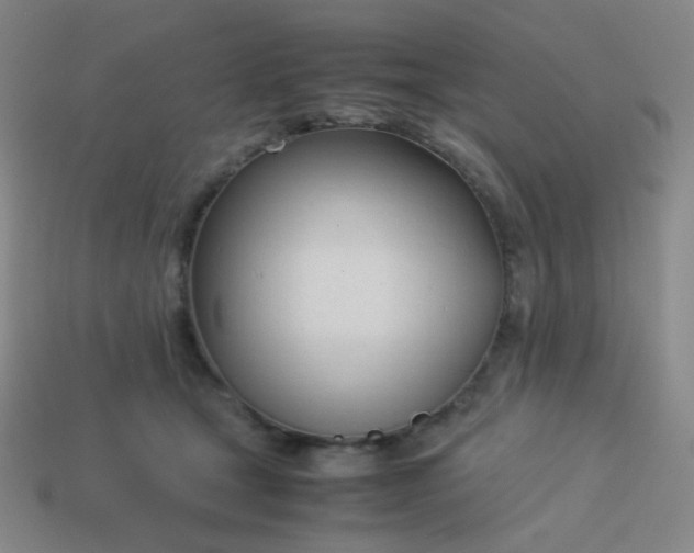 X0000114060465200910191505