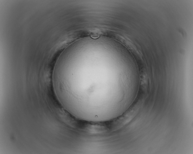 X0000114060466200910191505