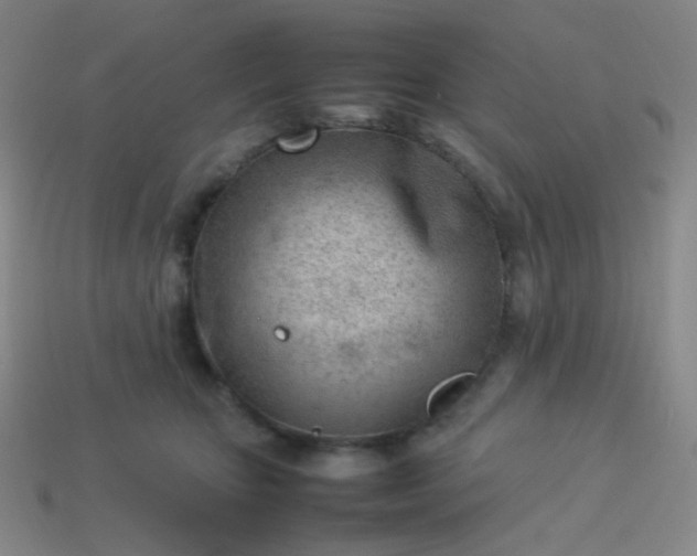 X0000114060467200910191505