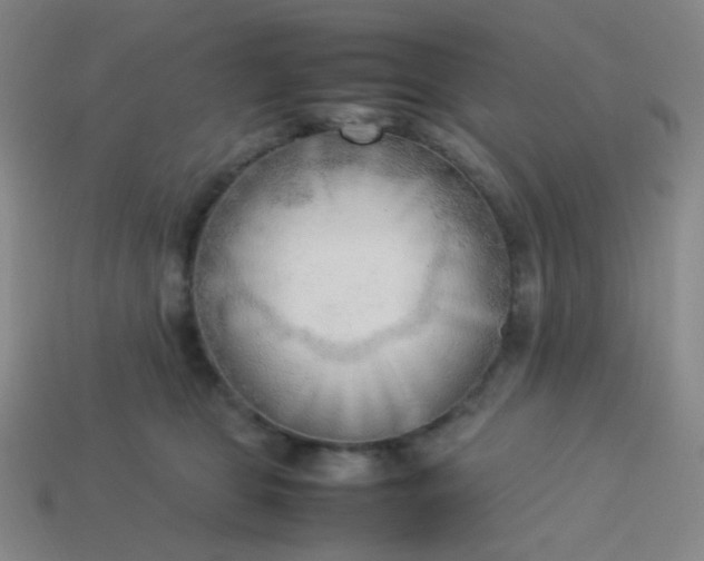 X0000114060469200910191505