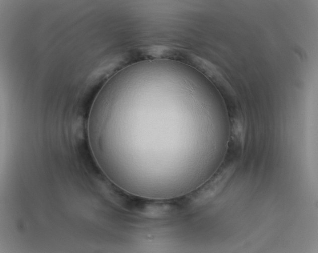 X0000114060470200910191505