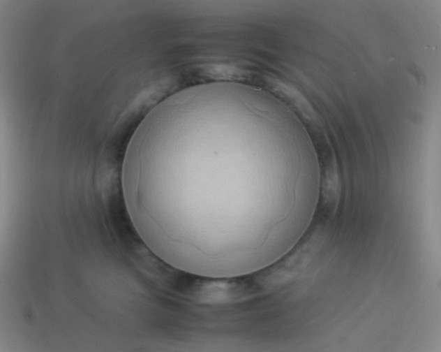 X0000114060473200910191505