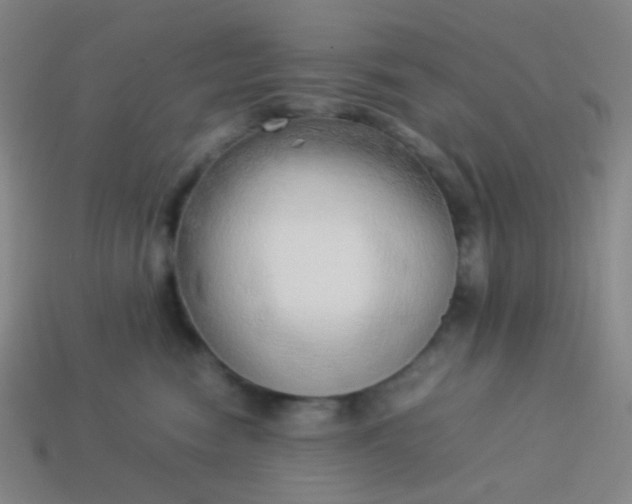 X0000114060474200910191505