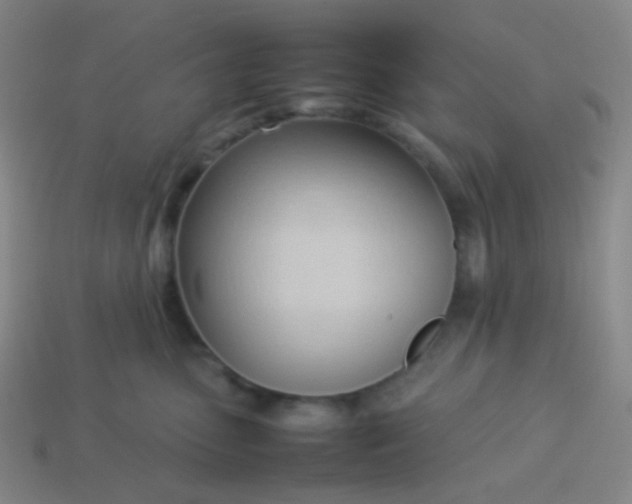 X0000114060475200910191505