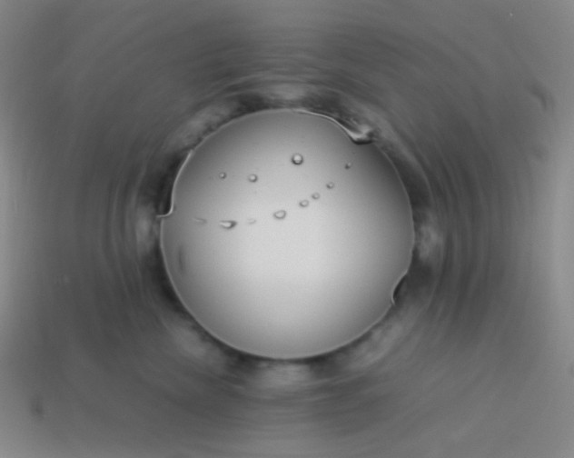 X0000114060476200910191505