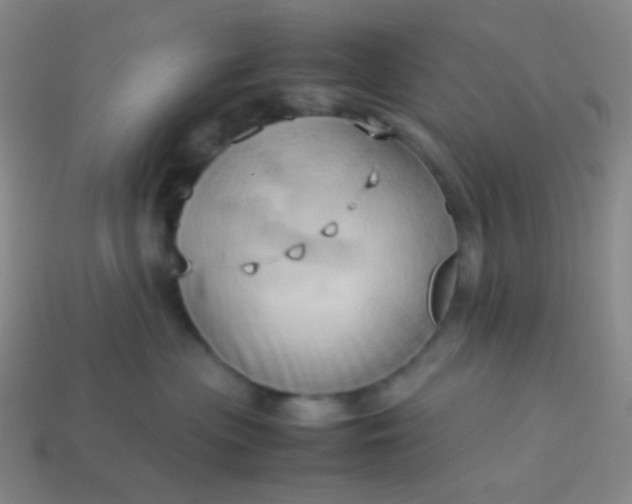 X0000114060477200910191505