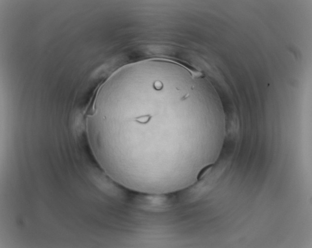 X0000114060478200910191505