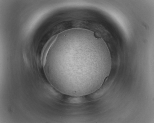 X0000114060479200910191505