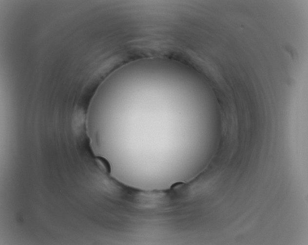 X0000114060480200910191505