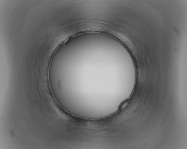 X0000114060481200910191504