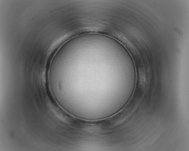 X0000114060486200910191504