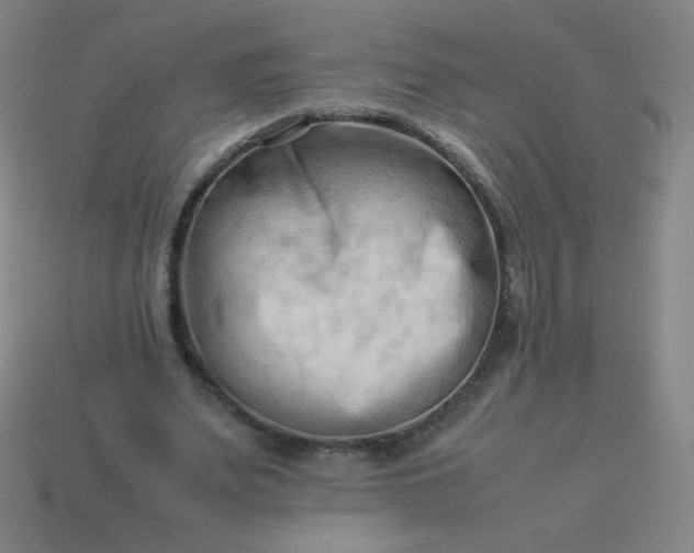 X0000114060487200910191504