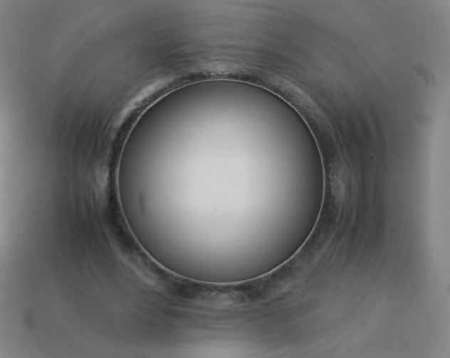 X0000114060488200910191504