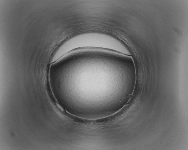 X0000114060489200910191504